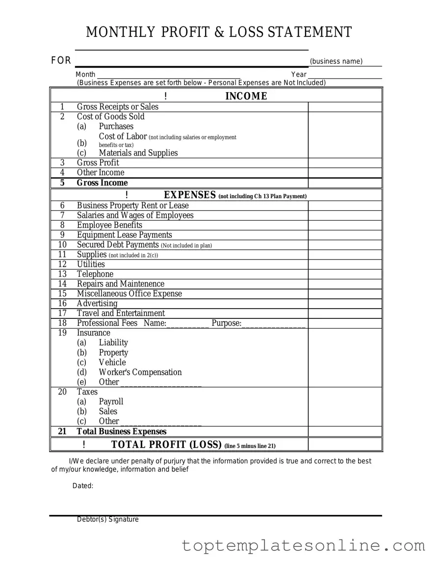Fillable Profit And Loss Form