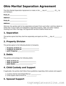 Blank Marital Separation Agreement Template for Ohio State