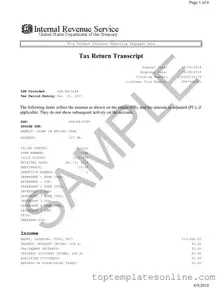 Fillable Sample Tax Return Transcript Form