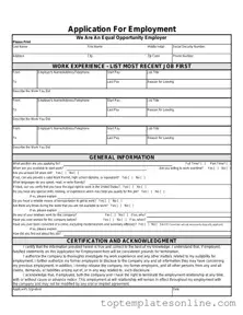 Fillable Spanish Application Employment Form