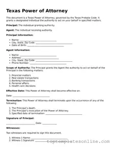 Blank Power of Attorney Template for Texas State