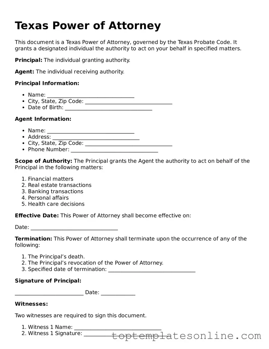 Blank Power of Attorney Template for Texas State